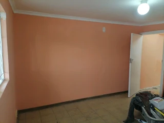 PROFESSIONAL PAINTERS