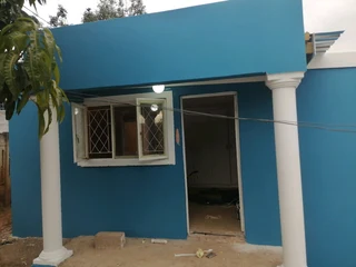 PROFESSIONAL PAINTERS