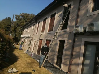 PROFESSIONAL PAINTERS