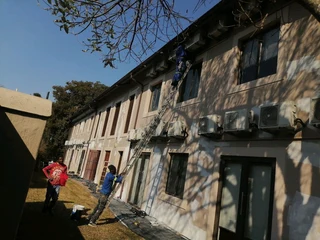 Professional Painters