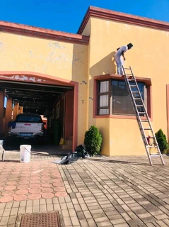 PROFESSIONAL PAINTERS