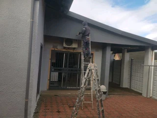 PROFESSIONAL PAINTERS