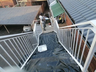 PROFESSIONAL PAINTERS