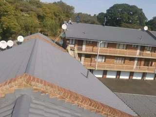 PROFESSIONAL PAINTERS