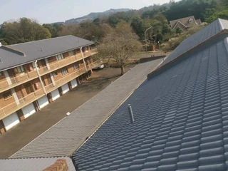 Professional Painters