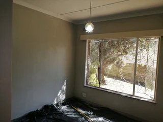 PROFESSIONAL PAINTERS