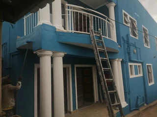 PROFESSIONAL PAINTERS