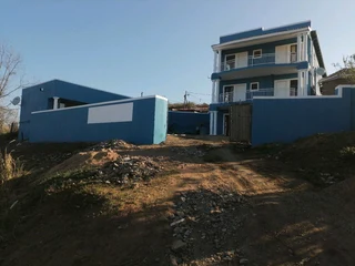 PROFESSIONAL PAINTERS