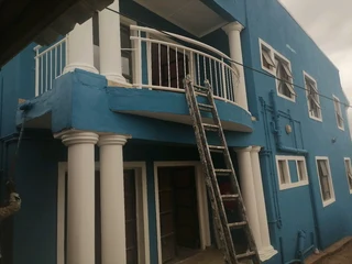 PROFESSIONAL PAINTERS