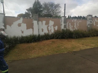 PROFESSIONAL PAINTERS