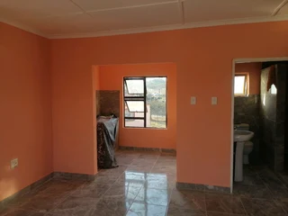 PROFESSIONAL PAINTERS