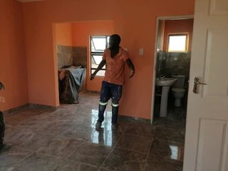 PROFESSIONAL PAINTERS