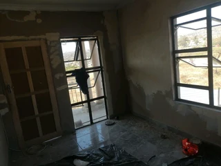 PROFESSIONAL PAINTERS