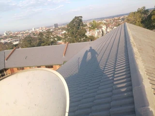 PROFESSIONAL PAINTERS