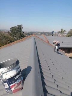 Professional Painters