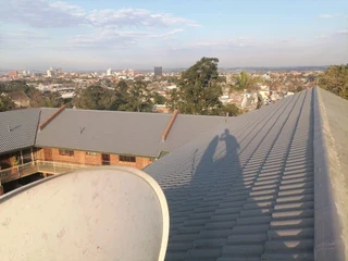 PROFESSIONAL PAINTERS