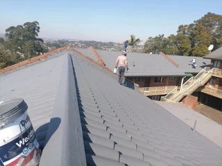 PROFESSIONAL PAINTERS