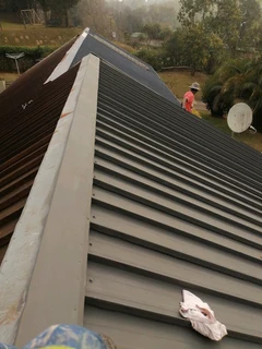 Professional Painters