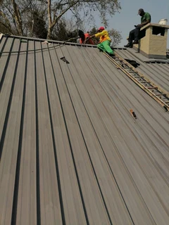 PROFESSIONAL PAINTERS