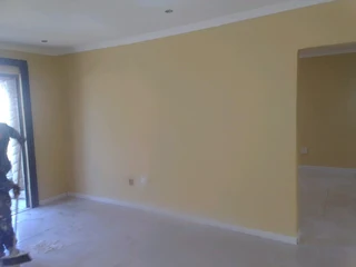 PROFESSIONAL PAINTERS