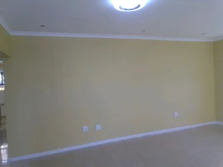 PROFESSIONAL PAINTERS