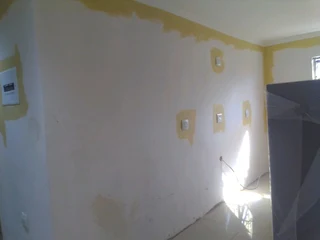 PROFESSIONAL PAINTERS