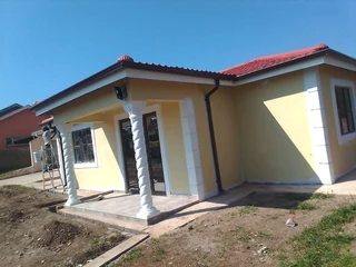 PROFESSIONAL PAINTERS