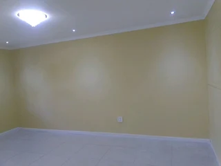 Professional Painters