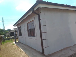 PROFESSIONAL PAINTERS