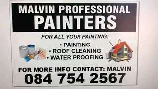 PROFESSIONAL PAINTERS