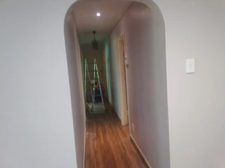 PROFESSIONAL PAINTERS