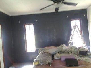 PROFESSIONAL PAINTERS