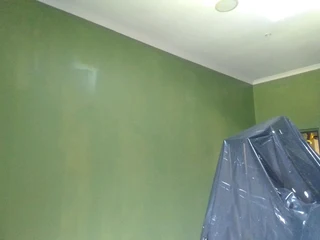 PROFESSIONAL PAINTERS