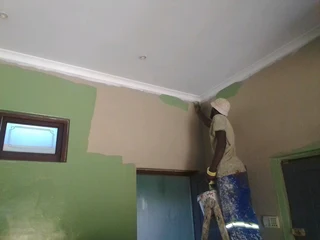 Professional Painters