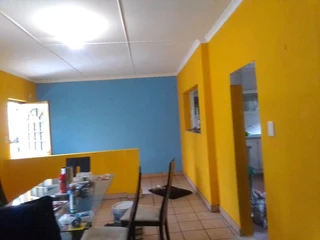 PROFESSIONAL PAINTERS