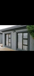 PROFESSIONAL PAINTERS