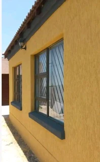 PROFESSIONAL PAINTERS