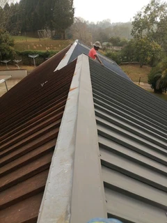 PROFESSIONAL PAINTERS