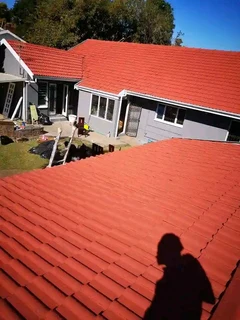 PROFESSIONAL  PAINTERS