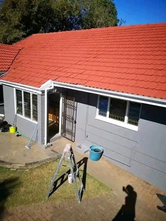 PROFESSIONAL  PAINTERS