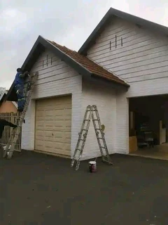 PROFESSIONAL  PAINTERS