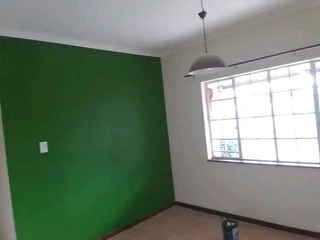 PROFESSIONAL PAINTERS