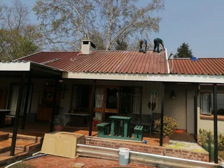 PROFESSIONAL PAINTERS