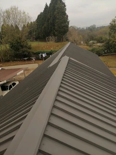 Professional Painters