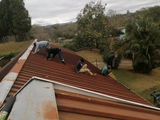 PROFESSIONAL PAINTERS