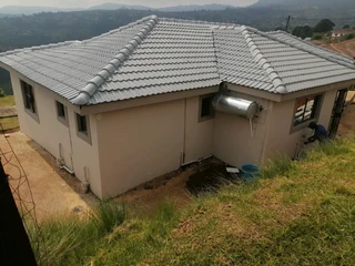 PROFESSIONAL PAINTERS