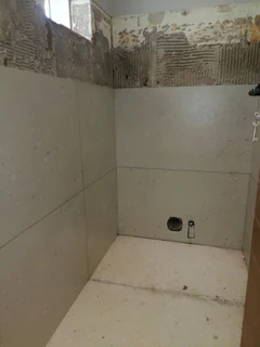 PROFESSIONAL PAINTERS