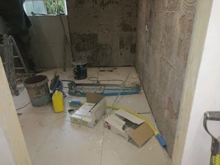 PROFESSIONAL PAINTERS