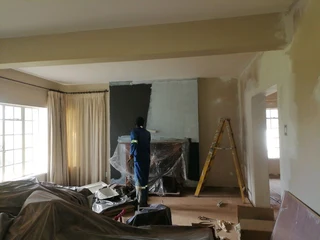 PROFESSIONAL PAINTERS