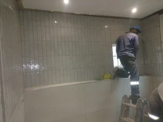 PROFESSIONAL PAINTERS